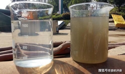 食品厂污水排放标准 保障水环境与废水管理的科学指南