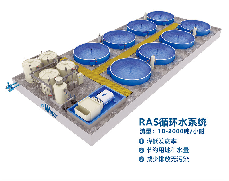 淡水鱼孵化标粗循环水养殖系统 开启工厂化高密度加州鲈养殖新篇章